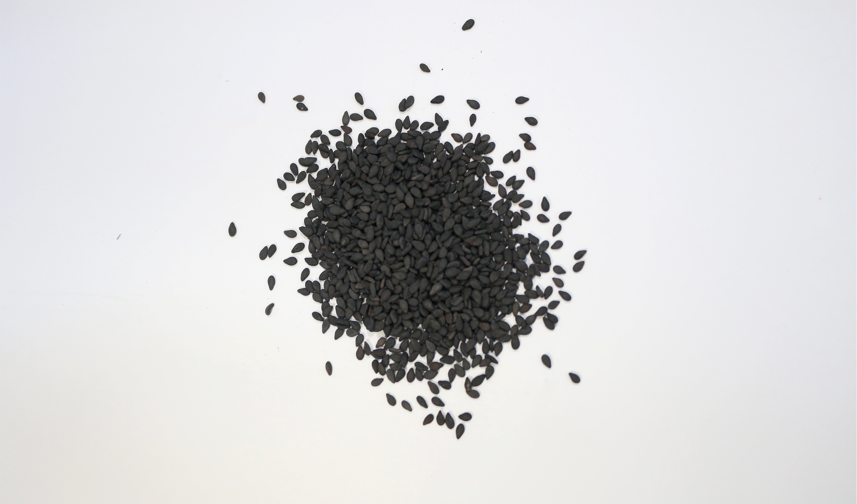 Black Sesame